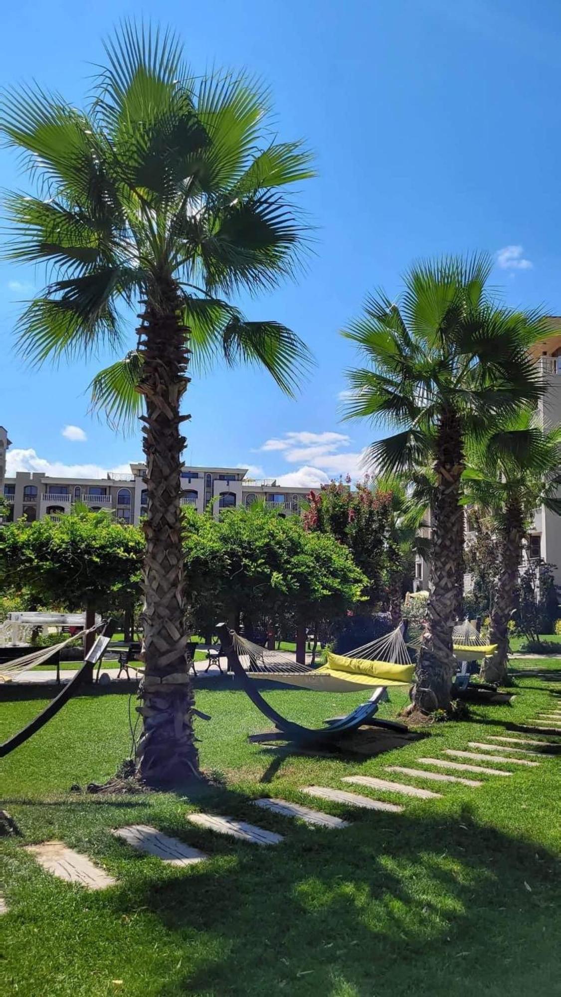 Wonderful Deluxe Appartement In Cascadas Family Resort Sunny Beach Exterior foto
